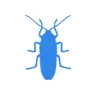 Уничтожение тараканов в Щёлково
