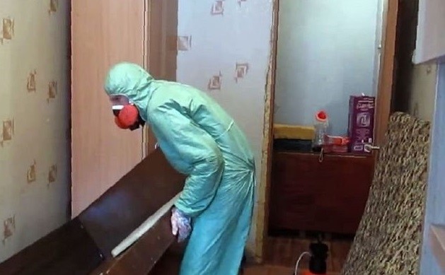 Уничтожение муравьев в Щелково